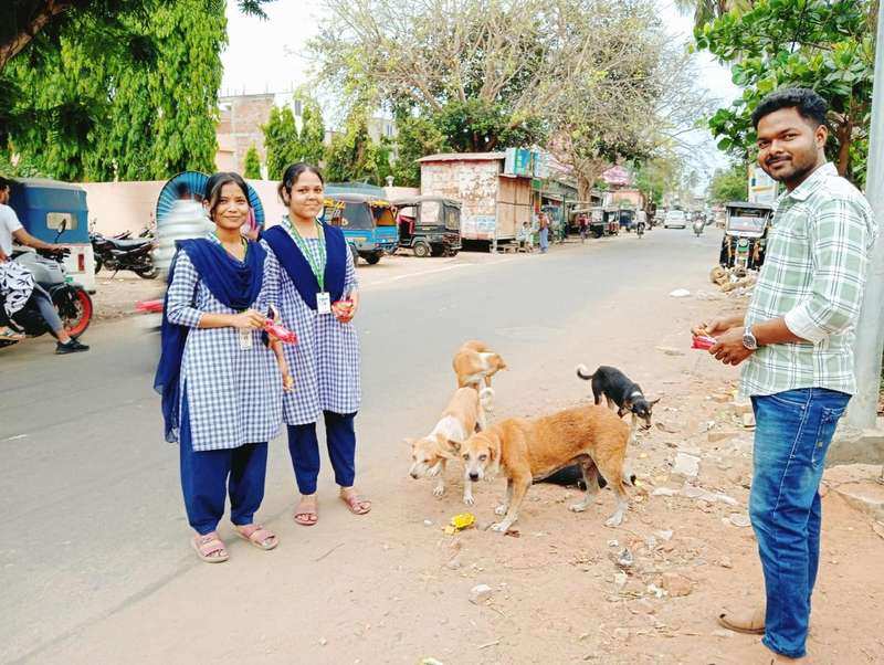 Volunteers feeding animals